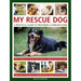 My Rescue Dog