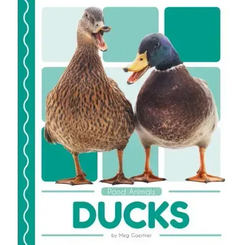 Ducks