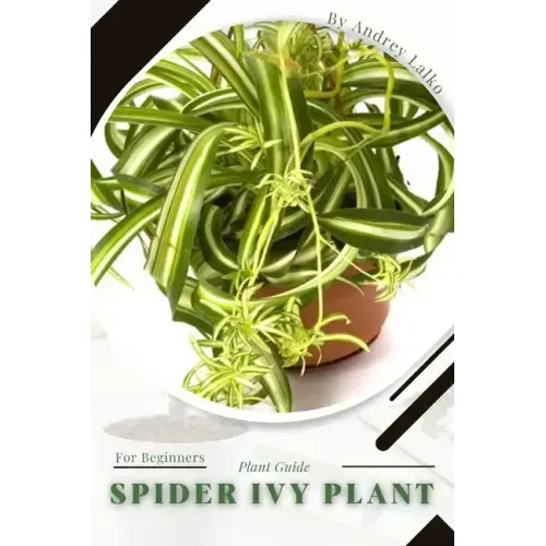 Spider Ivy Plant: Plant Guide