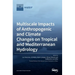 Multiscale Impacts of Anthropogenic and Climate Changes on Tropical and Mediterranean Hydrology
