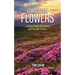 Forgotten Flowers: Loving People You Know and You Don't Know