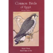 Common Birds of Egypt