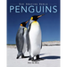 Penguins: Amazing Pictures & Fun Facts on Animals in Nature