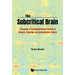 Subcritical Brain, The: A Synergy of Segregated Neural Circuits in Memory, Cognition and Sensorimotor Control