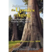 Reflections on the Upsides of Aging: Living with Joy and Purpose After Age 50