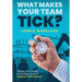 What Makes Your Team Tick?: Taking Your Team to the Next Level of Superior Performance