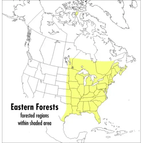 A Peterson Field Guide to Eastern Forests: North America