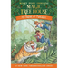 Tigers at Twilight
