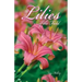 The Lilies of the Field