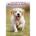 The Ultimate Guide to Raising a Puppy: How to Train and Care for Your New Dog