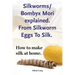 Silkworms Bombyx Mori explained. From Silkworm Eggs To Silk. How to make silk at home.