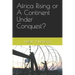 Africa Rising or A Continent Under Conquest?