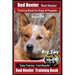 Red Heeler, Red Heeler Training Book for Dogs & Puppies By BoneUP DOG Training: Are You Ready to Bone Up? Easy Training * Fast Results Red Heeler Trai
