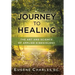 Journey to Healing: The Art and Science of Applied Kinesiology