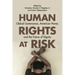 Human Rights at Risk: Global Governance, American Power, and the Future of Dignity