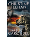 Dark Carousel