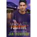 Never a Fugitive: Christian Romantic Suspense