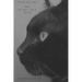 The Black Cat and The Tell-Tale Heart