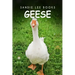 Geese - Sandie Lee Books