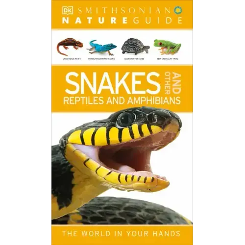 Nature Guide: Snakes and Other Reptiles and Amphibians: The World in Your Hands
