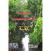 The Mangroves & The Manglicolous Marine Fungi