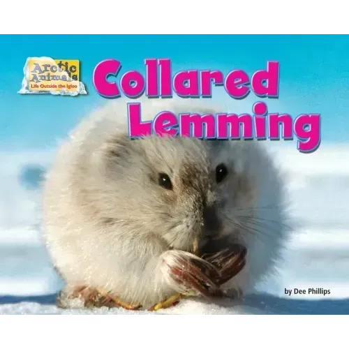 Collared Lemming