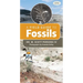 A Field Guide to Fossils