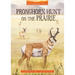 Pronghorn Hunt on the Prairie