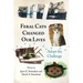 Feral Cats Changed Our Lives: Adopt the Challenge