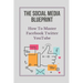 The Social Media Blueprint: How To Master Facebook, Twitter, YouTube: Prospects On Social Media