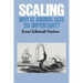 Scaling: Why Is Animal Size So Important?