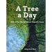 A Tree a Day