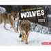 On the Hunt with Wolves