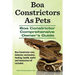 Boa Constrictors As Pets. Boa Constrictor Comprehensive Owners Guide. Boa Constrictor care, behavior, enclosures, feeding, health, myths and interacti