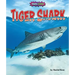 Tiger Shark