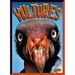 Vultures
