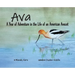 Ava: A Year of Adventure in the Life of an American Avocet