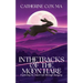 In The Tracks of the Moon Hare Exploring the Inner Life through Imagery