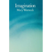 Imagination
