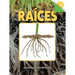 Raíces: Roots