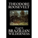 Through the Brazilian Wilderness by Theodore Roosevelt, Travel, Special Interest, Adventure, Essays & Travelogues