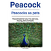 Peacock. Peacocks as pets. Peacock book for Care, Pros and Cons, Housing, Diet and Health.