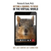Getting a Squirrel to Focus in the Virtual World: Not Just Content, but Connection