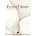 Furious Triangle