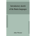 Introductory sketch of the Bantu languages