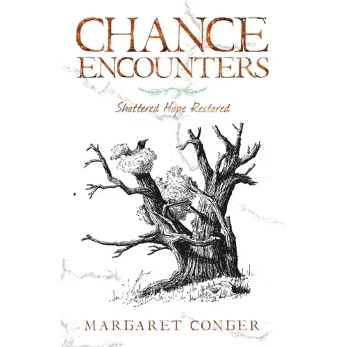 Chance Encounters: Shattered Hope Restored