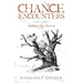 Chance Encounters: Shattered Hope Restored