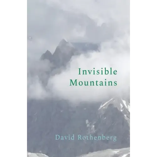 Invisible Mountains
