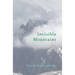 Invisible Mountains