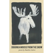 Digging A Moose from the Snow